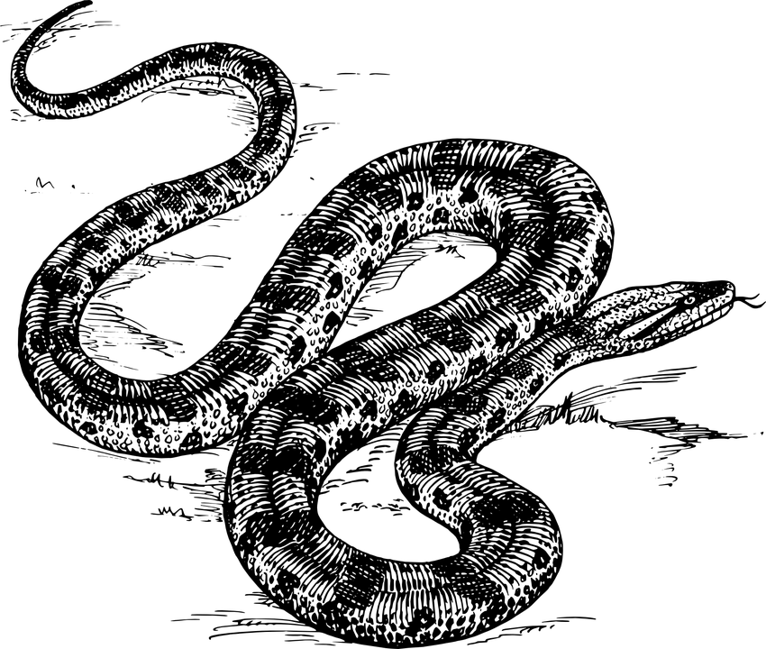 yilan.png